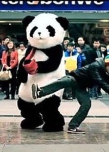 爱，在四川之熊猫篇