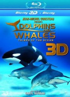 海豚与鲸鱼3D