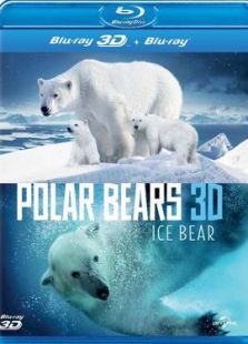 北极熊: 一个夏天的奥德赛3D